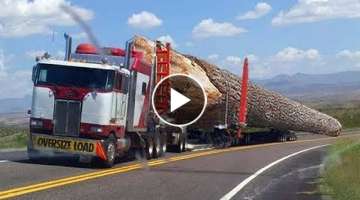 Extremely Dangerous Oversize Logs Truck. Famous Wood Processing Mill & Manufacturing Cable Drum